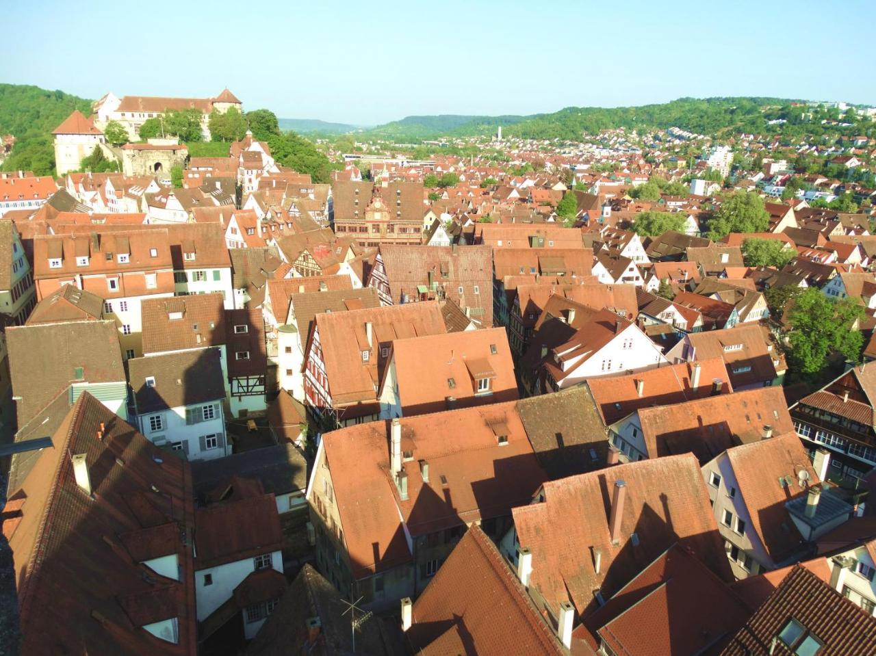 Ferienwohnung Wiedmann Tübingen Exteriör bild
